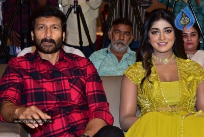 Rama Banam Press Meet - 5 of 21