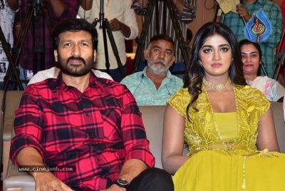 Rama Banam Press Meet - 6 of 21