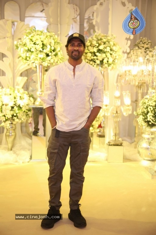 Sharwa-Rakshitha Reception - 51 / 182 photos