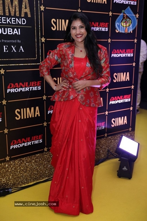 SIIMA Awards 2023 Photos - 16 / 115 photos