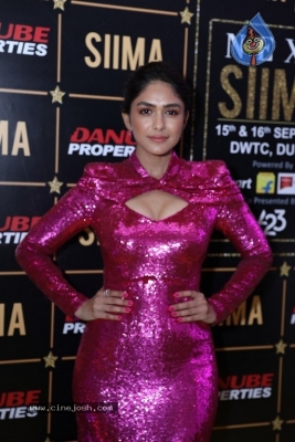 SIIMA Awards 2023 Photos - 60 of 115