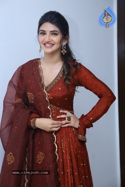 Sreeleela Photos - 3 / 16 photos