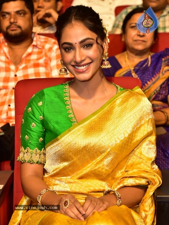 Tiger Nageswara Rao Pre-Release Event - 54 / 62 photos