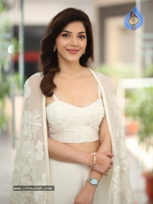 Mehreen Pirzada Photos - 5 of 21