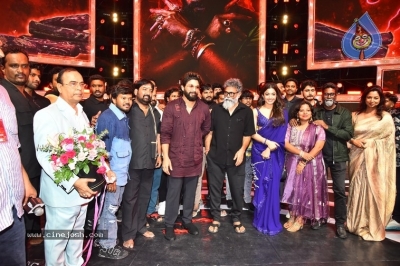Pushpa2 Movie Release Event - 17 of 31