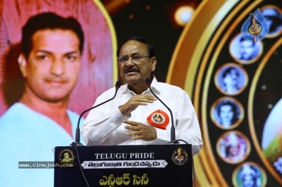 NTR Cine Vajrotsavam Celebrations - 10 of 58