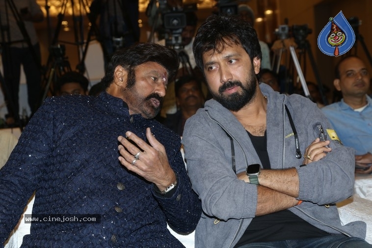 Daaku Maharaaj Pre Release Event - 22 / 27 photos