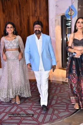 Daaku Maharaaj Success Meet - 25 of 35