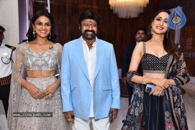Daaku Maharaaj Success Meet - 32 of 35
