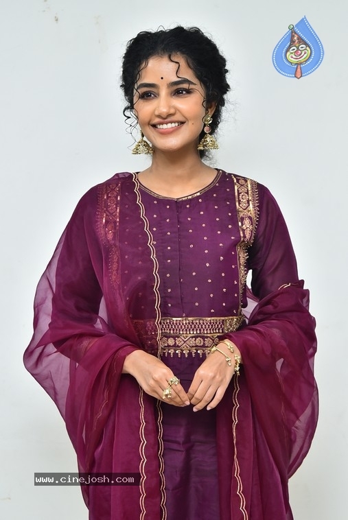 Anupama Parameswaran - 16 / 21 photos