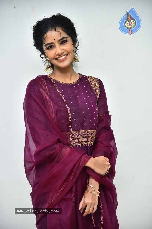 Anupama Parameswaran - 19 / 21 photos