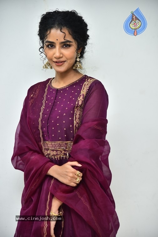 Anupama Parameswaran - 21 / 21 photos