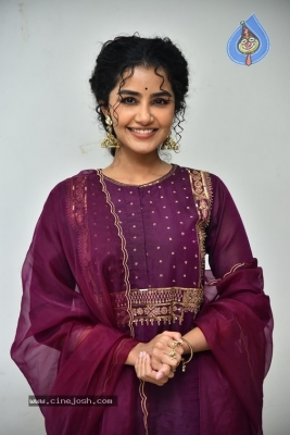 Anupama Parameswaran - 13 of 21