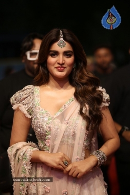 NIdhi Agerwal Photos - 10 of 20