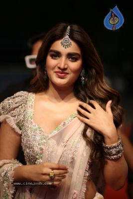 NIdhi Agerwal Photos - 11 of 20