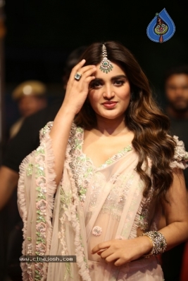 NIdhi Agerwal Photos - 20 of 20