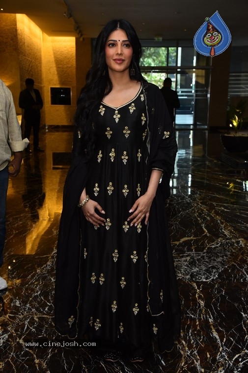 Shruti Haasan Photos - 12 / 21 photos