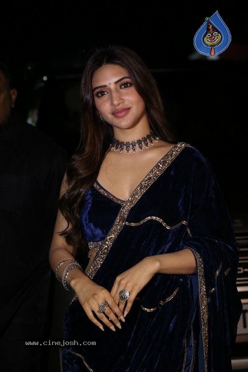 Sreeleela Photos - 1 / 17 photos