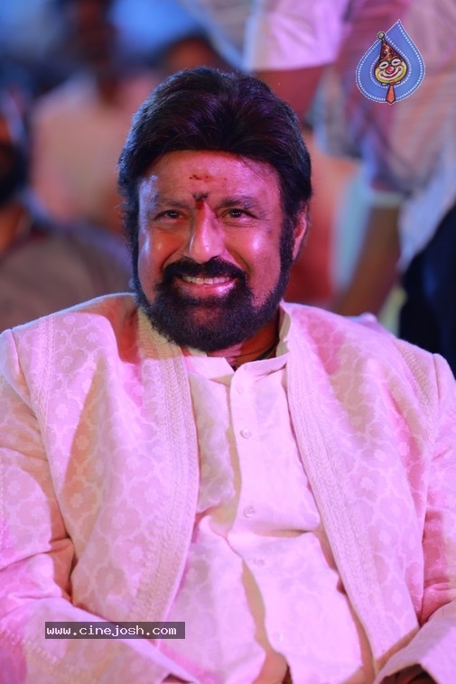 Akhanda 2 Pre Release Event - 30 / 33 photos