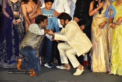 Akhanda 2 Pre Release Event - 33 of 33