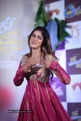 Dimple Hayathi Photos - 14 of 14