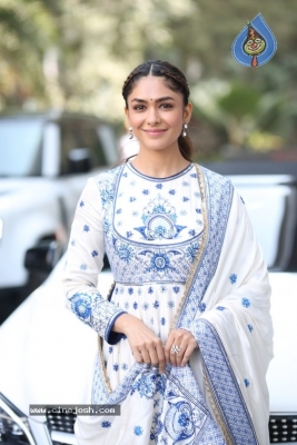 Mrunal Thakur Photos - 9 of 14