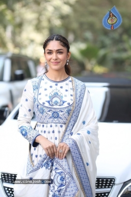 Mrunal Thakur Photos - 11 of 14