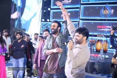 Raja Saab Pre Release Event - 31 of 34