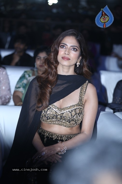 The Raja Saab Event - 16 / 32 photos