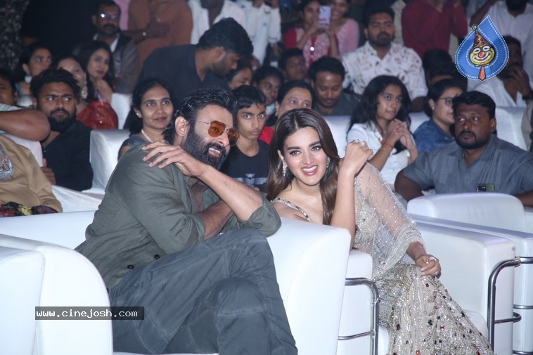 The Raja Saab Event - 28 / 32 photos