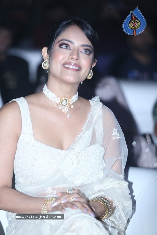 The Raja Saab Event - 30 / 32 photos