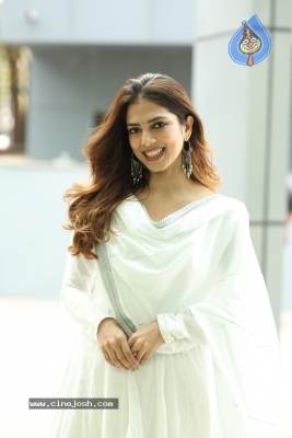 Malavika Mohanan Photos - 20 of 20