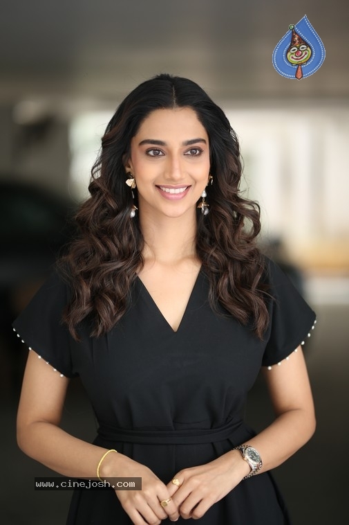 Meenakshi Chaudhary Photos - 18 / 20 photos