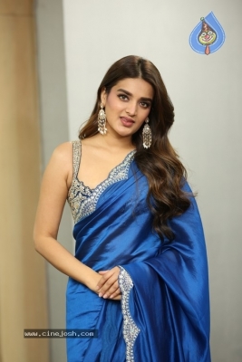 Nidhi Agarwal Photos - 15 of 19