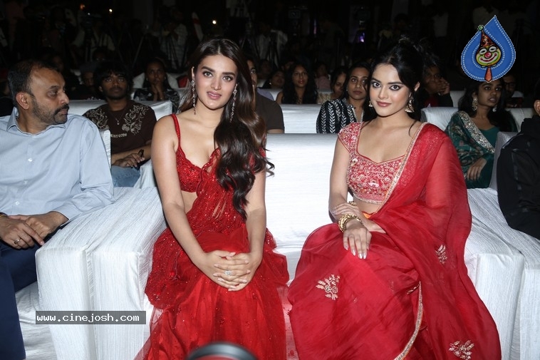 The Rajasaab Pre-Release Party - 14 / 21 photos