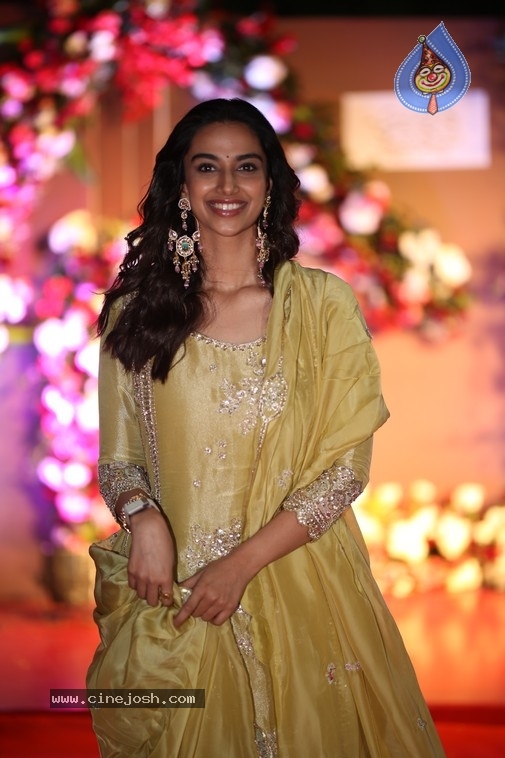 Meenakshi Chaudhary Photos - 5 / 19 photos