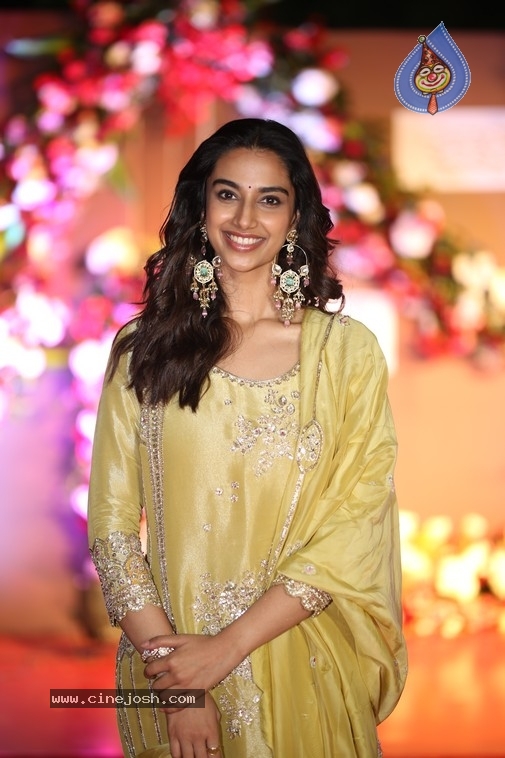 Meenakshi Chaudhary Photos - 13 / 19 photos