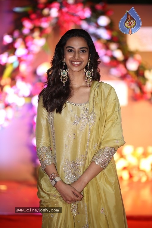 Meenakshi Chaudhary Photos - 14 / 19 photos