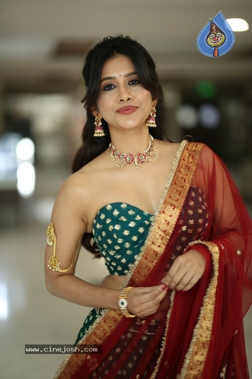 Nabha Natesh Photos - 9 / 21 photos