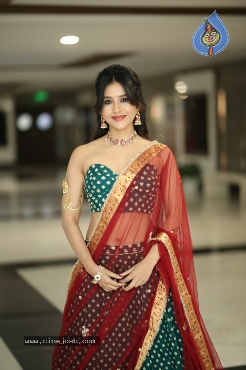 Nabha Natesh Photos - 12 / 21 photos