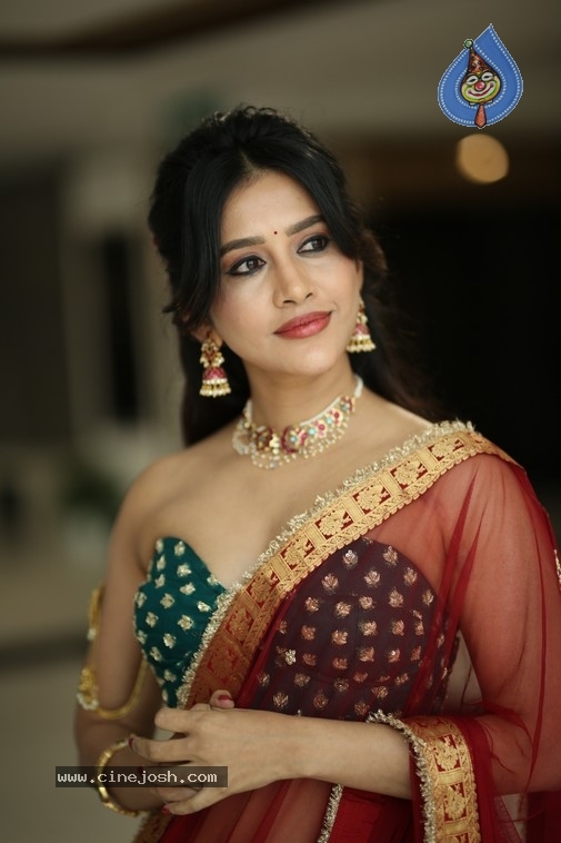 Nabha Natesh Photos - 15 / 21 photos