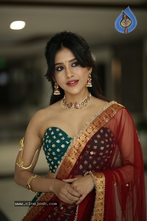 Nabha Natesh Photos - 16 / 21 photos