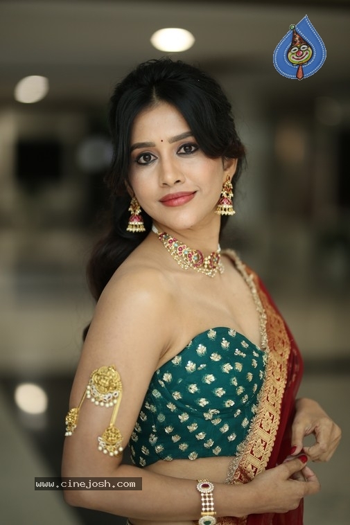 Nabha Natesh Photos - 17 / 21 photos