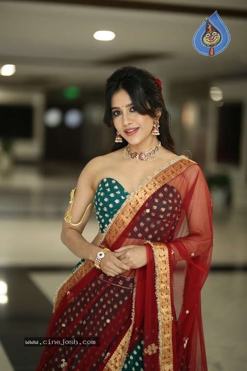 Nabha Natesh Photos - 18 / 21 photos