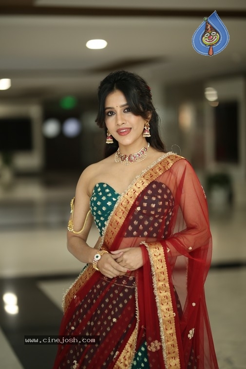 Nabha Natesh Photos - 19 / 21 photos