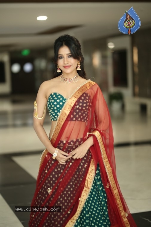 Nabha Natesh Photos - 20 / 21 photos