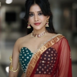 Nabha Natesh Photos