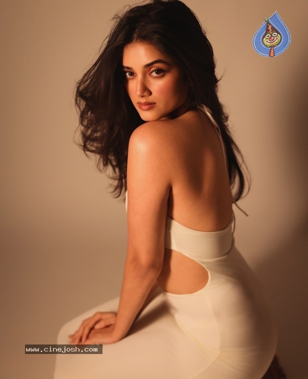 Bhagyashri Borse Photos - 10 / 11 photos