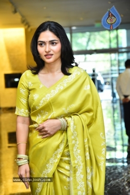 Kayadu Lohar Photos - 13 of 15