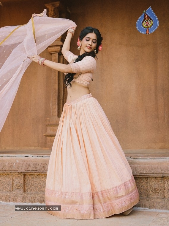 Nabha Natesh Photos - 8 / 12 photos